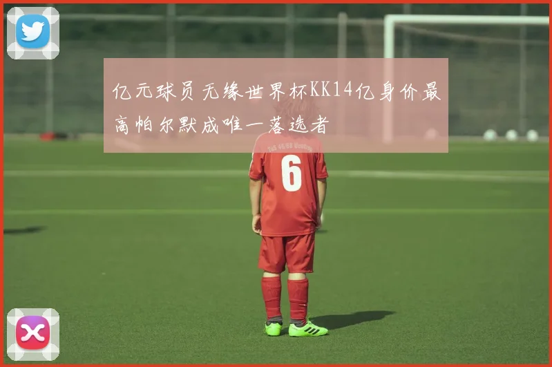 亿元球员无缘世界杯KK14亿身价最高帕尔默成唯一落选者