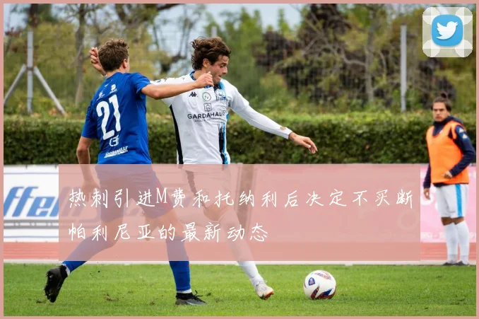热刺引进M费和托纳利后决定不买断帕利尼亚的最新动态